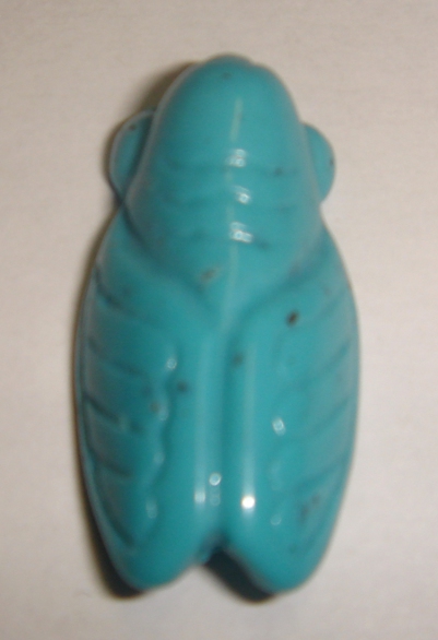 foto - CICALA PICCOLA TURCHESE