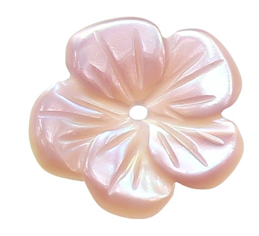 foto - FIORELLINO ROSA