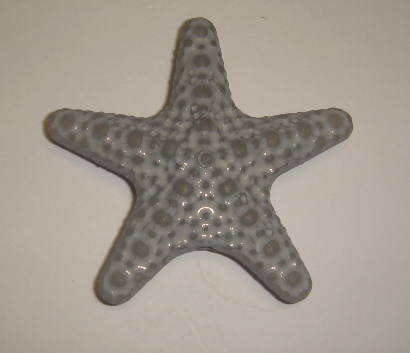 foto - STELLA MARINA GRIGIA