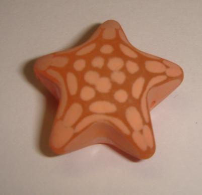 foto - STELLA ARANCIO