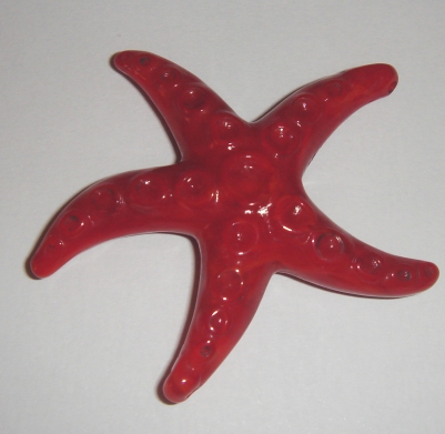 foto - STELLA MARINA