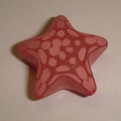 foto - STELLA  FRAGOLA