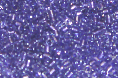 foto - C-LINED SHIMMER LAVANDER