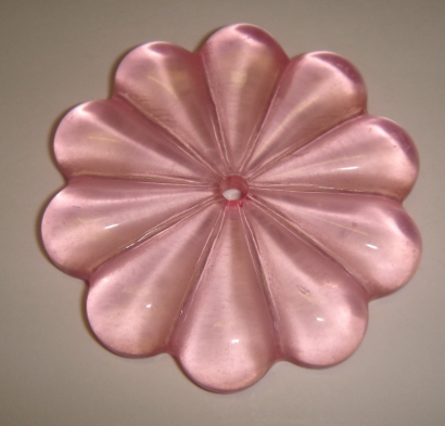 foto - MARGHERITA  ROSA