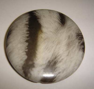 foto - MEDAGLIONE ZEBRA