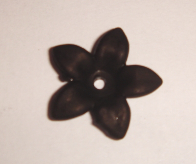 foto - FIORELLINO NERO