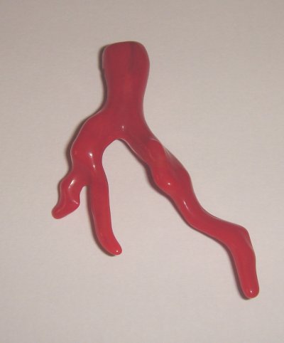 foto - CORALLO ROSSO