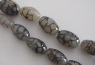 foto - AGATA ZEBRATA