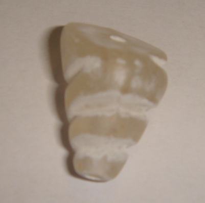 foto - CORALLO IRREGOLARE