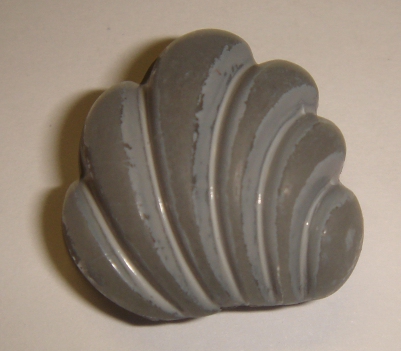 foto - CONCHIGLIA GRIGIA