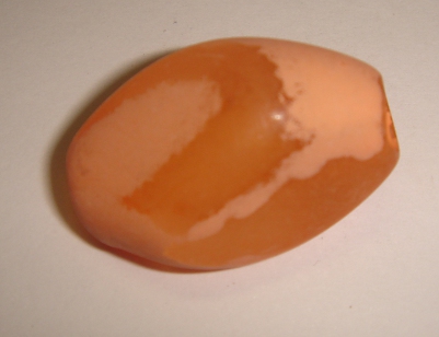 foto - DATTERO ARANCIO