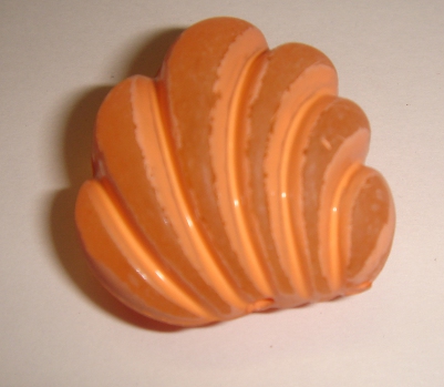 foto - CONCHIGLIA ARANCIO