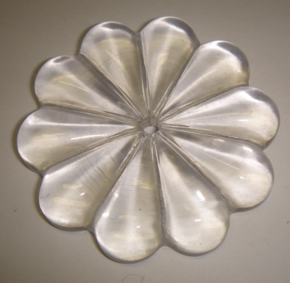 foto - MARGHERITA  TRASPARENTE