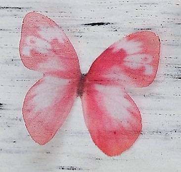 farfalla in organza misura 30x22 mm 1  pezzo