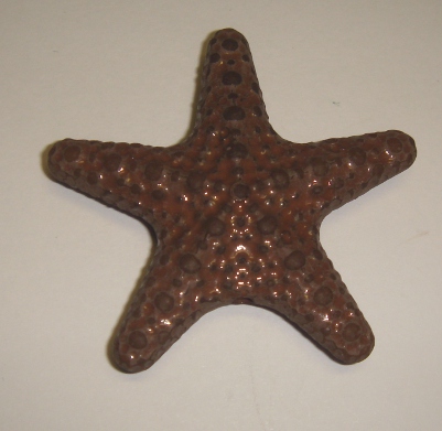 foto - STELLA MARINA MARRONE