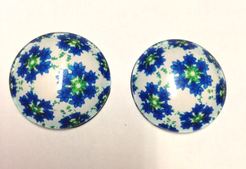 foto - FIORI AZZURRI