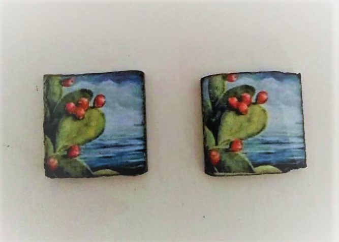 piastrella in pietra lavica con cactus