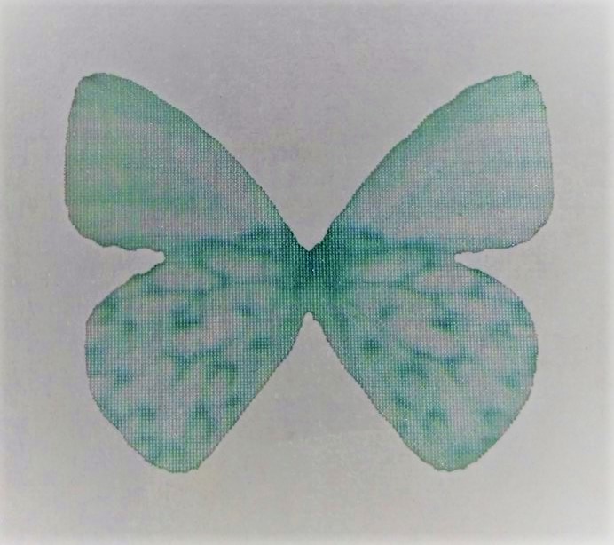 farfalla in organza misura 30x22 mm ACQUA