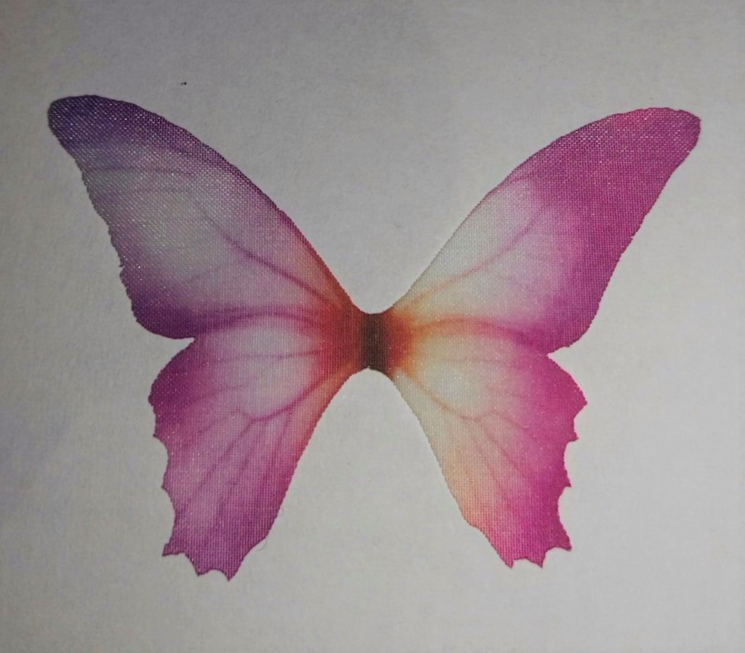 foto - LILLA E FUCSIA