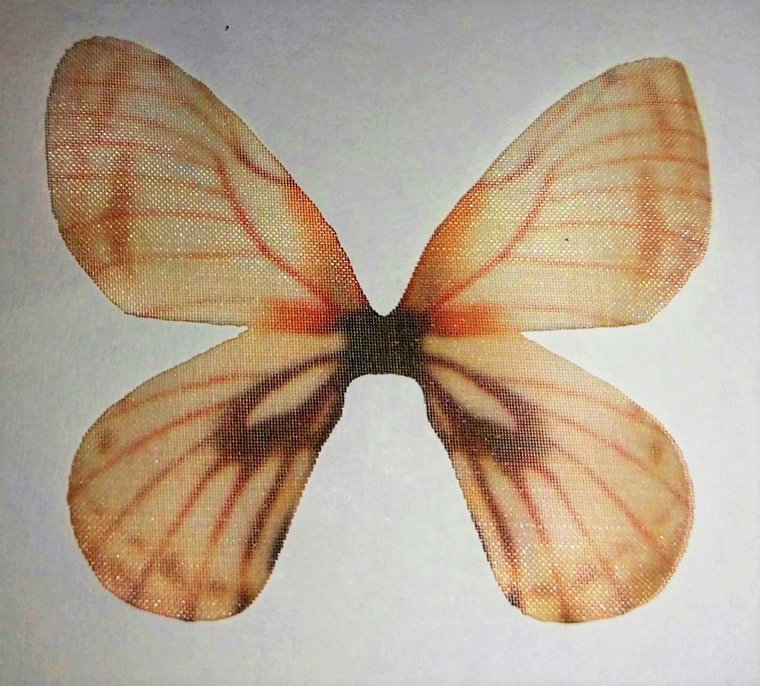 farfalla in organza misura 50x35 mm BEIGE SALMONE