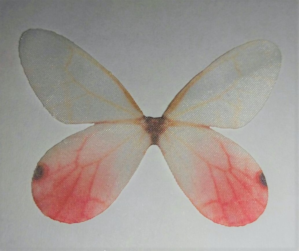 farfalla in organza AVORIO E CORALLO