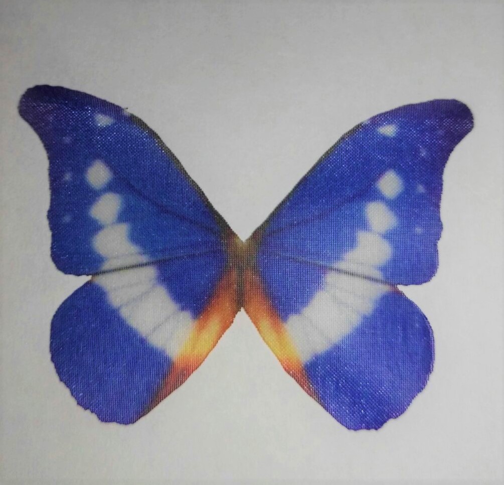 farfalla in organza misura 50x35 mm BLUETTE