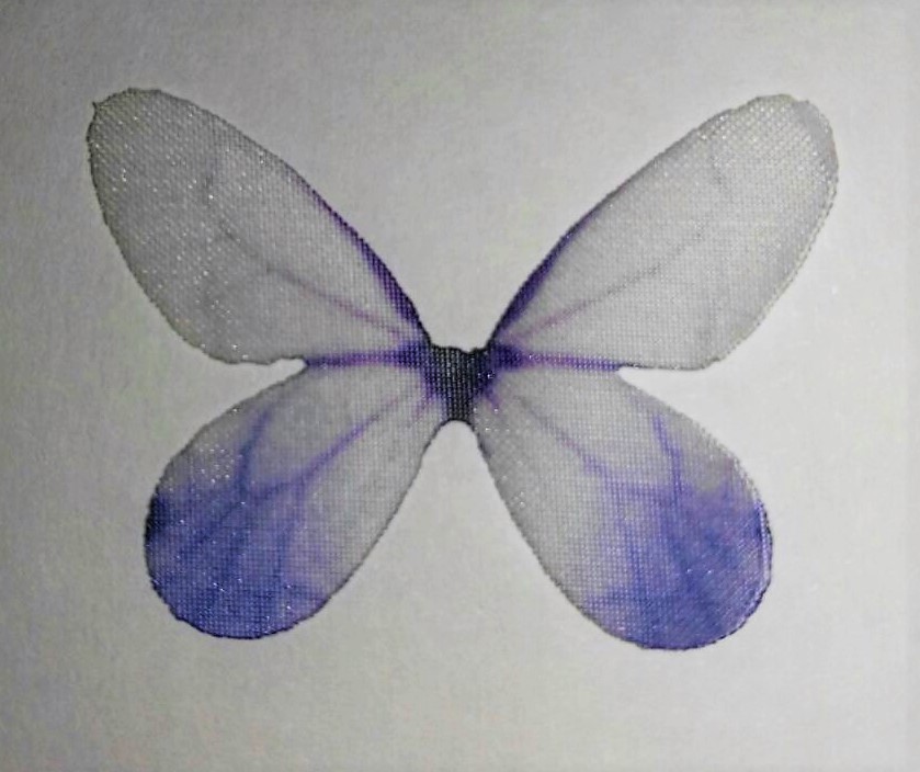 farfalla in organza misura 30x22 mm BIANCA LILLA