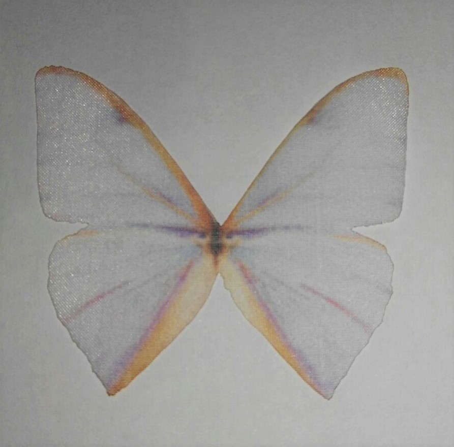 farfalla in organza misura 50x35 mm GHIACCIO E BEIGE