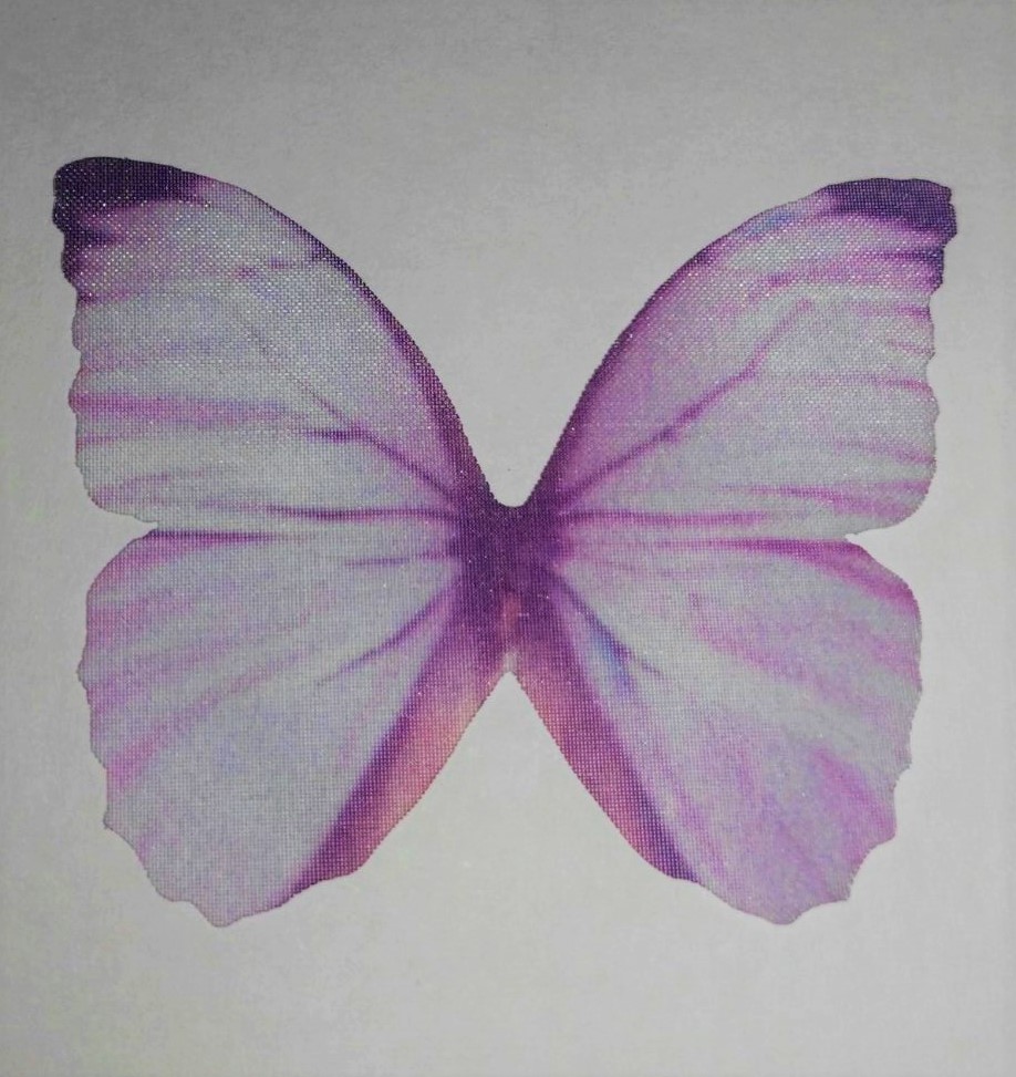 farfalla in organza misura 50x35 mm LILLA