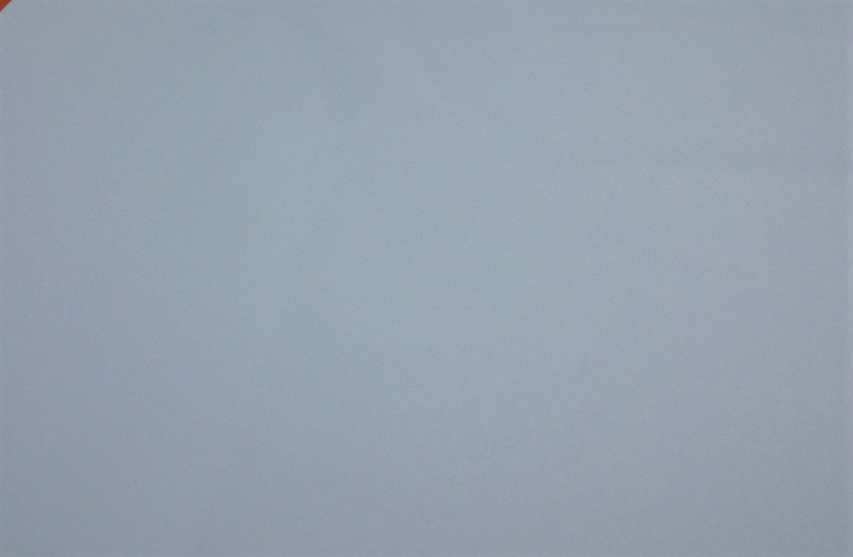 ecopelle AZZURRO CHIARO