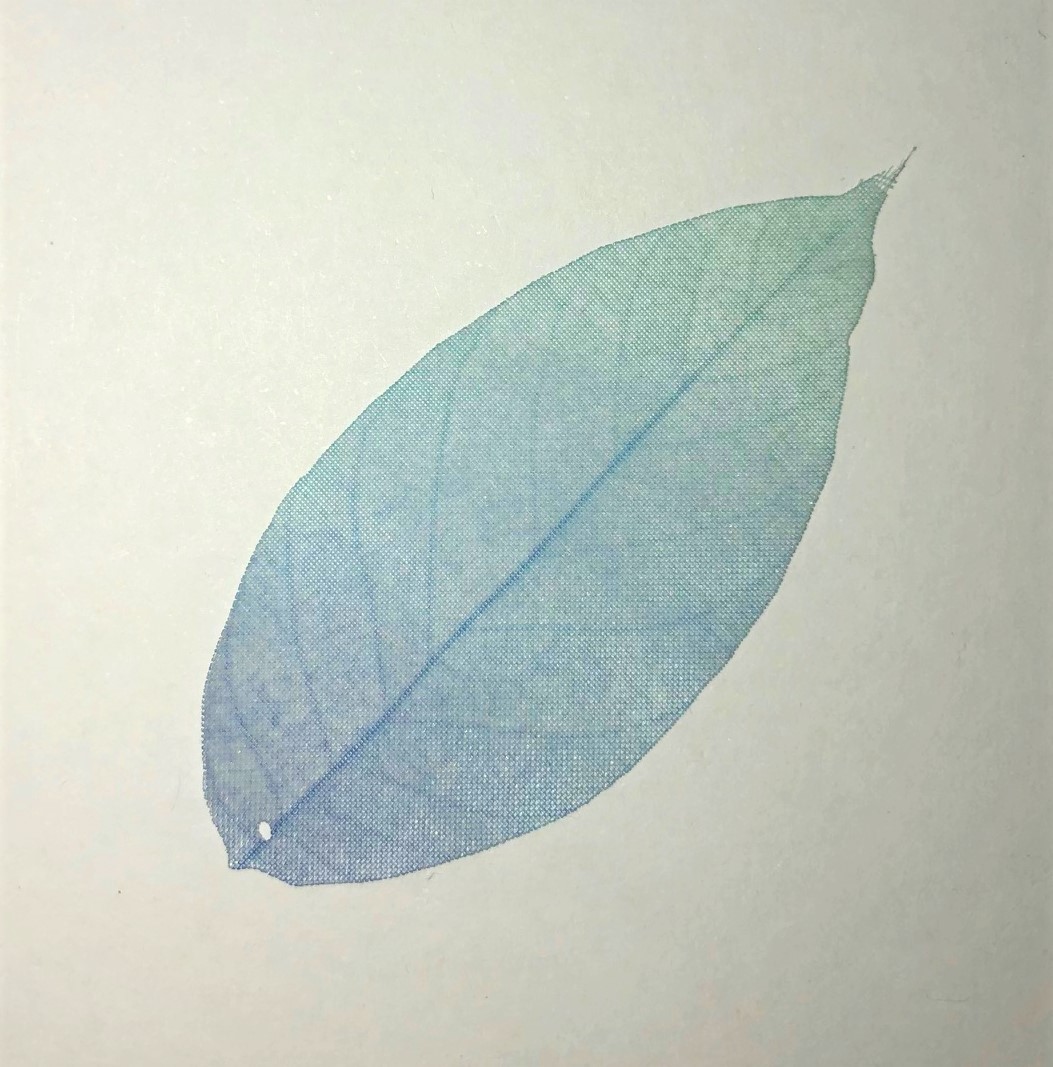 FOGLIA AZZURRA in organza