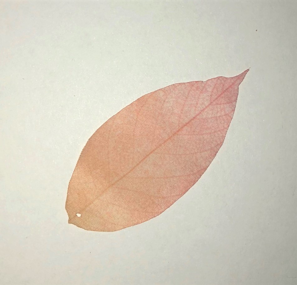 FOGLIA  ARANCIO in organza 