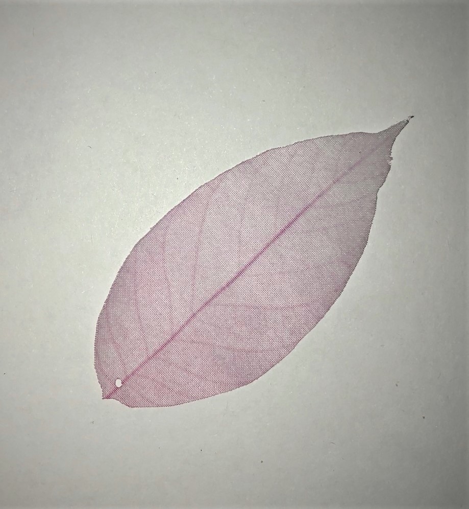 FOGLIA PICCOLA ROSA LILLA in organza 30x13 mm con foro 1 pezzo